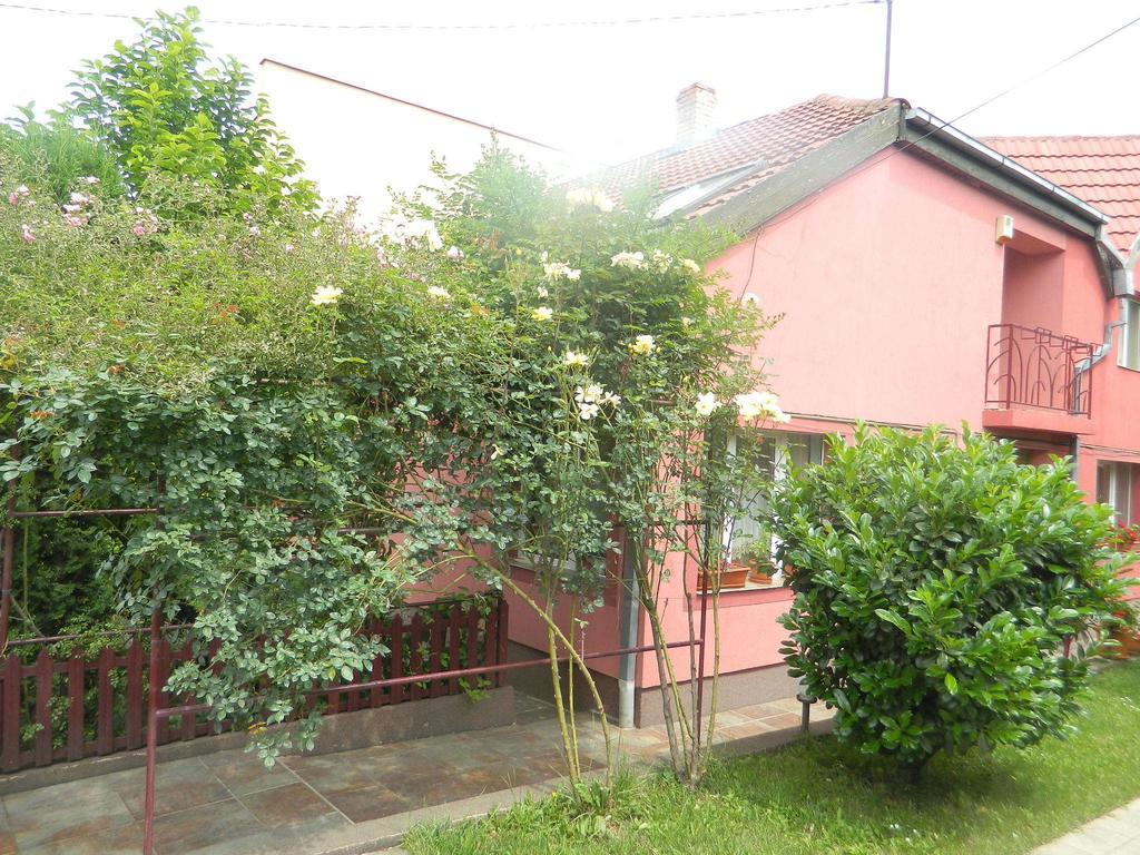 Cazare Vio Hotel Cluj-Napoca Exterior photo